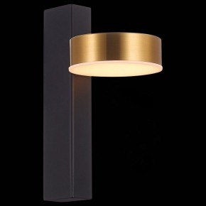 Бра ST-Luce Pances SL6000.301.01 в Чебаркуле - chebarkul.mebel24.online | фото 4