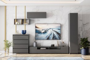 ДЕНВЕР Пенал (Графит серый) в Чебаркуле - chebarkul.mebel24.online | фото 4