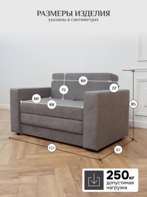 Диван 570 (кресло-кровать) в Чебаркуле - chebarkul.mebel24.online | фото 12