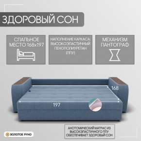 Диван Сенатор-1 (НПБ) в Чебаркуле - chebarkul.mebel24.online | фото 3