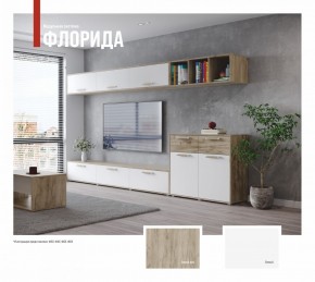ФЛОРИДА Гостиная (модульная) дуб серый/белый в Чебаркуле - chebarkul.mebel24.online | фото