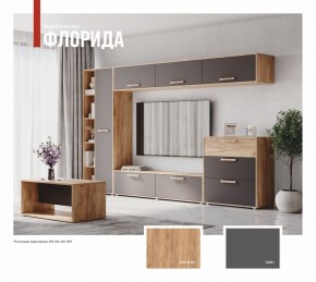 ФЛОРИДА Гостиная (модульная) дуб золотой/графит в Чебаркуле - chebarkul.mebel24.online | фото