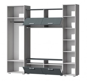 Гостиная Эмми (Анкор светлый/Графит) в Чебаркуле - chebarkul.mebel24.online | фото 3