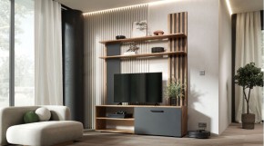 КАРОЛИНА Гостиная в Чебаркуле - chebarkul.mebel24.online | фото