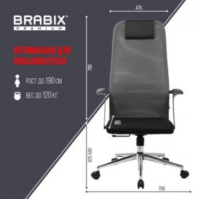 Кресло офисное BRABIX PREMIUM "Ultimate EX-801" хром, плотная двойная сетка Х2, черное/серое, 532918 в Чебаркуле - chebarkul.mebel24.online | фото 5