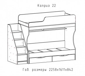 КАПРИЗ-22 Кровать двухъярусная 800 настил ЛДСП в Чебаркуле - chebarkul.mebel24.online | фото 2