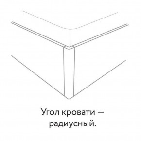 Кровать "Сандра" БЕЗ основания 1200х2000 в Чебаркуле - chebarkul.mebel24.online | фото 3