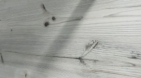 Кухонный фартук Белое дерево (3000) в Чебаркуле по цене 3 750 руб. Кухонный фартук Белое дерево (3000) в Чебаркуле - chebarkul.mebel24.online | фото