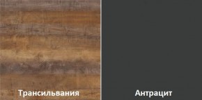 Кухонный гарнитур угловой Трансильвания 2400x1600 мм (Стол. 38 мм) в Чебаркуле - chebarkul.mebel24.online | фото 3