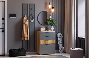 МЕБЕЛЬСОН К21 Прихожая в Чебаркуле - chebarkul.mebel24.online | фото 2