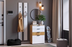 МЕБЕЛЬСОН К21 Прихожая (белое дерево) в Чебаркуле - chebarkul.mebel24.online | фото