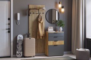МЕБЕЛЬСОН К3 Прихожая (графит) в Чебаркуле - chebarkul.mebel24.online | фото
