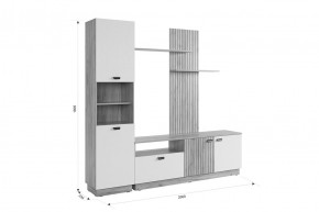 МОДИ Гостиная (модульная) белое дерево в Чебаркуле - chebarkul.mebel24.online | фото 2