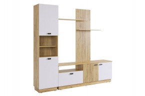МОДИ К1 Гостиная (белое дерево) в Чебаркуле - chebarkul.mebel24.online | фото 6