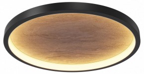 Накладной светильник Maytoni Orign MOD311CL-L40B3K в Чебаркуле - chebarkul.mebel24.online | фото