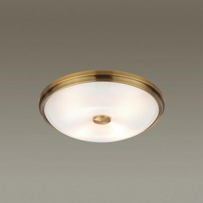 Накладной светильник Odeon Light Pelow 4956/4 в Чебаркуле - chebarkul.mebel24.online | фото 2