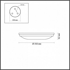 Накладной светильник Odeon Light Pelow 4956/4 в Чебаркуле - chebarkul.mebel24.online | фото 3