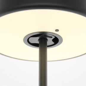 Настольная лампа декоративная Maytoni AI Collaboration MOD229TL-L3B3K2 в Чебаркуле - chebarkul.mebel24.online | фото 5