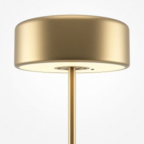 Настольная лампа декоративная Maytoni AI Collaboration MOD229TL-L3G3K2 в Чебаркуле - chebarkul.mebel24.online | фото 4