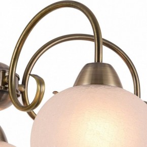 Подвесная люстра Arte Lamp Margo A9317LM-5AB в Чебаркуле - chebarkul.mebel24.online | фото 3