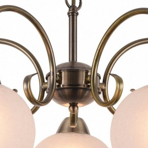 Подвесная люстра Arte Lamp Margo A9317LM-5AB в Чебаркуле - chebarkul.mebel24.online | фото 4