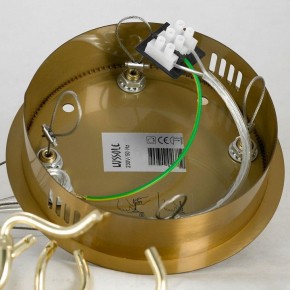 Подвесная люстра Lussole Adams LSP-8606 в Чебаркуле - chebarkul.mebel24.online | фото 9