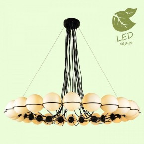 Подвесная люстра Lussole Seneca GRLSP-8176 в Чебаркуле - chebarkul.mebel24.online | фото 3
