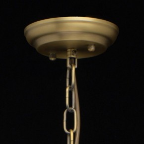 Подвесная люстра MW-Light Альгеро 3 285010703 в Чебаркуле - chebarkul.mebel24.online | фото 14