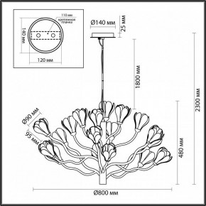 Подвесная люстра Odeon Light Gardi 5090/18 в Чебаркуле - chebarkul.mebel24.online | фото 6