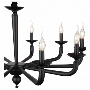 Подвесная люстра ST-Luce SL1114 SL1114.403.10 в Чебаркуле - chebarkul.mebel24.online | фото 4