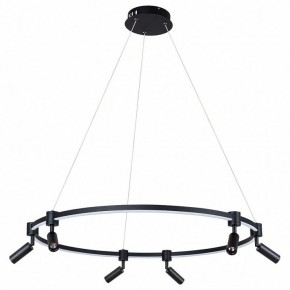 Подвесной светильник Arte Lamp Ring A2186SP-1BK в Чебаркуле - chebarkul.mebel24.online | фото 2