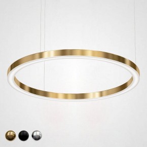 Подвесной светильник Imperiumloft Light Ring Horizontal 40.1454-120 в Чебаркуле - chebarkul.mebel24.online | фото