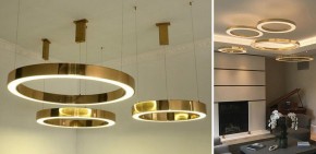 Подвесной светильник Imperiumloft Light Ring Horizontal 40,1454 в Чебаркуле - chebarkul.mebel24.online | фото 2