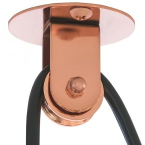 Подвесной светильник Lightstar Acrobata 761073 в Чебаркуле - chebarkul.mebel24.online | фото 5