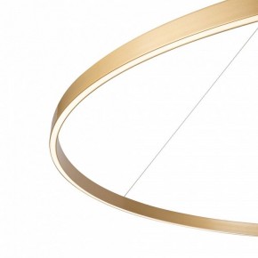 Подвесной светильник Maytoni Rim MOD058PL-L65BSK в Чебаркуле - chebarkul.mebel24.online | фото 5