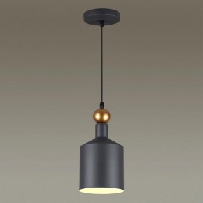 Подвесной светильник Odeon Light Bolli 4085/1 в Чебаркуле - chebarkul.mebel24.online | фото 3