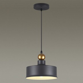 Подвесной светильник Odeon Light Bolli 4088/1 в Чебаркуле - chebarkul.mebel24.online | фото 4