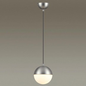 Подвесной светильник Odeon Light Pinga 4959/1 в Чебаркуле - chebarkul.mebel24.online | фото 2