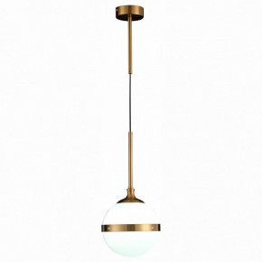 Подвесной светильник ST-Luce Arbe SL1157.303.01 в Чебаркуле - chebarkul.mebel24.online | фото 3