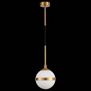Подвесной светильник ST-Luce Arbe SL1157.303.01 в Чебаркуле - chebarkul.mebel24.online | фото 4