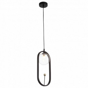 Подвесной светильник ST-Luce Circono SL1201.403.01 в Чебаркуле - chebarkul.mebel24.online | фото 2