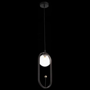 Подвесной светильник ST-Luce Circono SL1201.403.01 в Чебаркуле - chebarkul.mebel24.online | фото 3