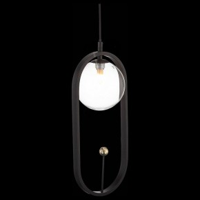Подвесной светильник ST-Luce Circono SL1201.403.01 в Чебаркуле - chebarkul.mebel24.online | фото 4
