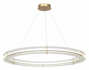 Подвесной светильник ST-Luce FAGY SL6245.213.01 в Чебаркуле - chebarkul.mebel24.online | фото 4