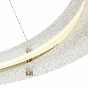 Подвесной светильник ST-Luce FAGY SL6245.213.01 в Чебаркуле - chebarkul.mebel24.online | фото 6