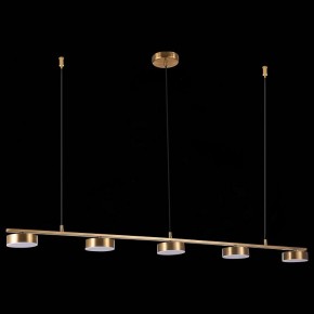 Подвесной светильник ST-Luce Pances SL6000.303.05 в Чебаркуле - chebarkul.mebel24.online | фото 6