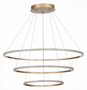 Подвесной светильник ST-Luce ST604 OUT ST604.243.114 в Чебаркуле - chebarkul.mebel24.online | фото 2
