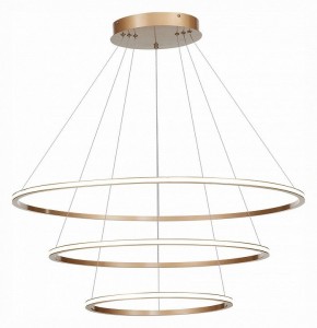 Подвесной светильник ST-Luce ST604 OUT ST604.243.114 в Чебаркуле - chebarkul.mebel24.online | фото 3
