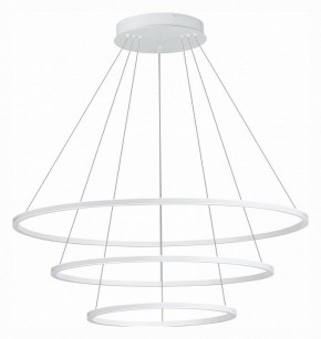 Подвесной светильник ST-Luce ST604 OUT ST604.543.114 в Чебаркуле - chebarkul.mebel24.online | фото 2