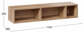 Полка навесная ТД-102.28 в Чебаркуле - chebarkul.mebel24.online | фото 9